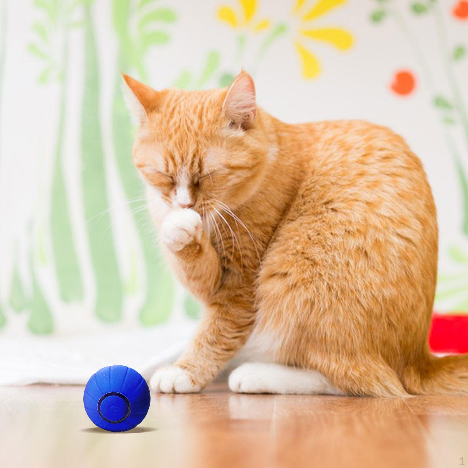 

Автоматическая игрушка-мяч для кошек, катящиеся игрушки для котят, инстинкт, интерактивная с цветным светом, упражнения для синий