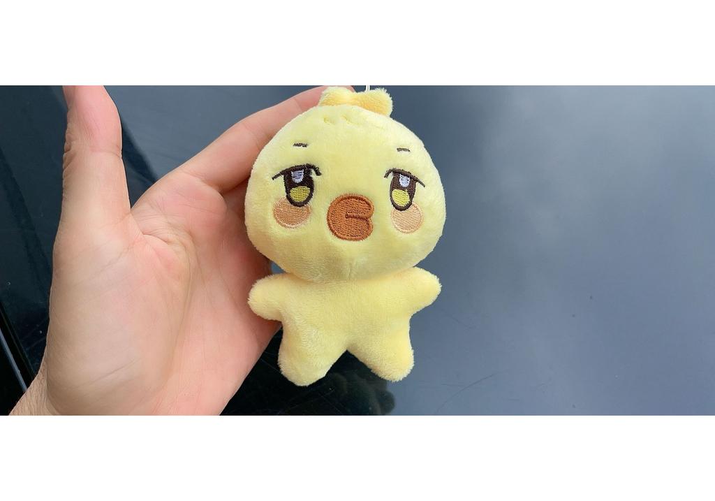 Ready Stock Kpop Aniteez Cute Plush Plaything Keychain Choi San Kang Yang Jung Yunho Small Doll Pendant Fashion Fans Daily