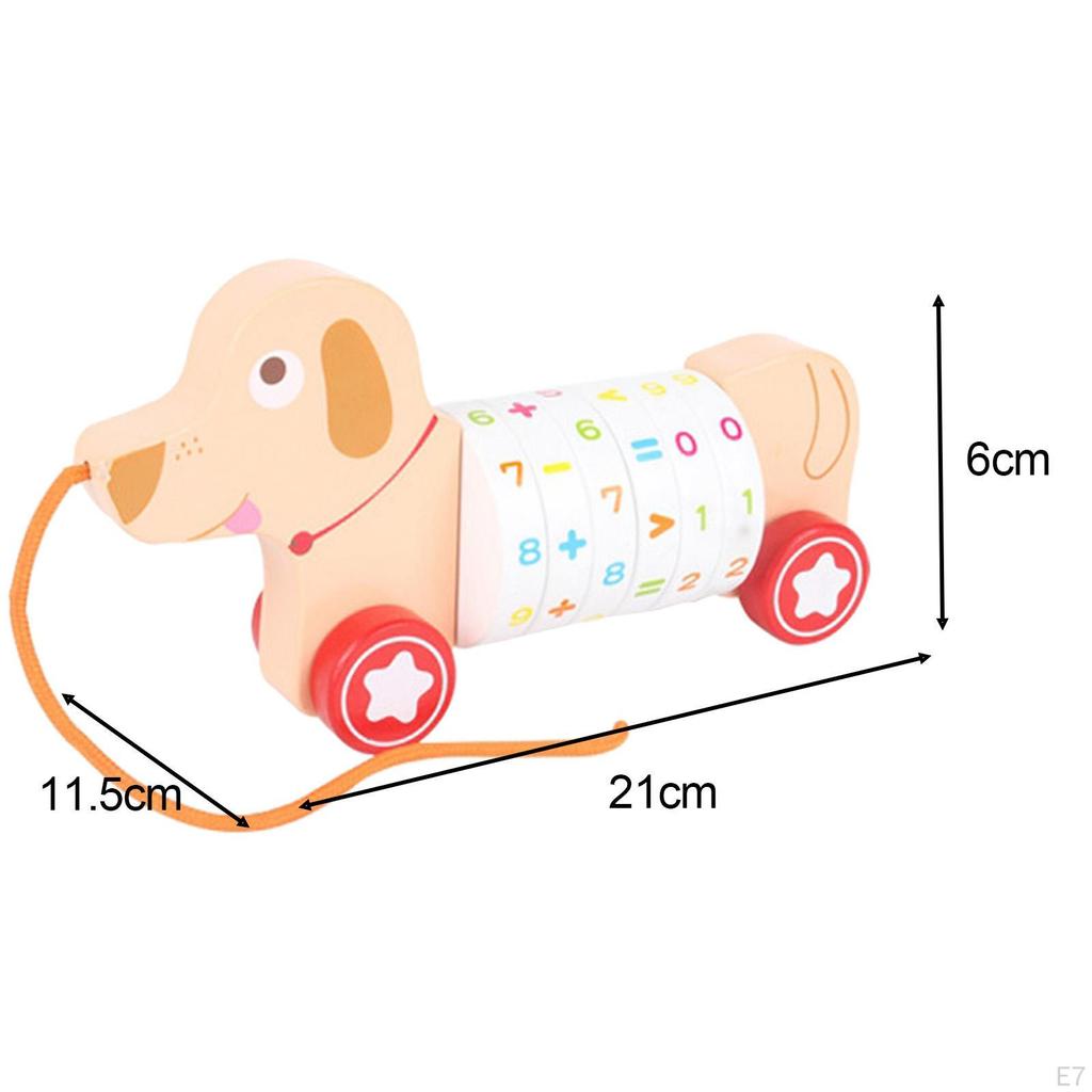 Animal Push and Pull Along Toys, Arithmetic Learning Toy, Toy for Kids Birthday Gifts