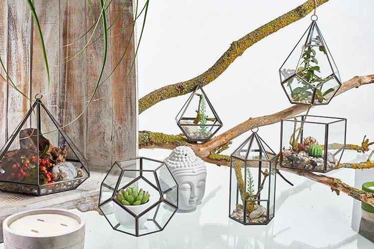 Glass Terrarium Cube On Corner