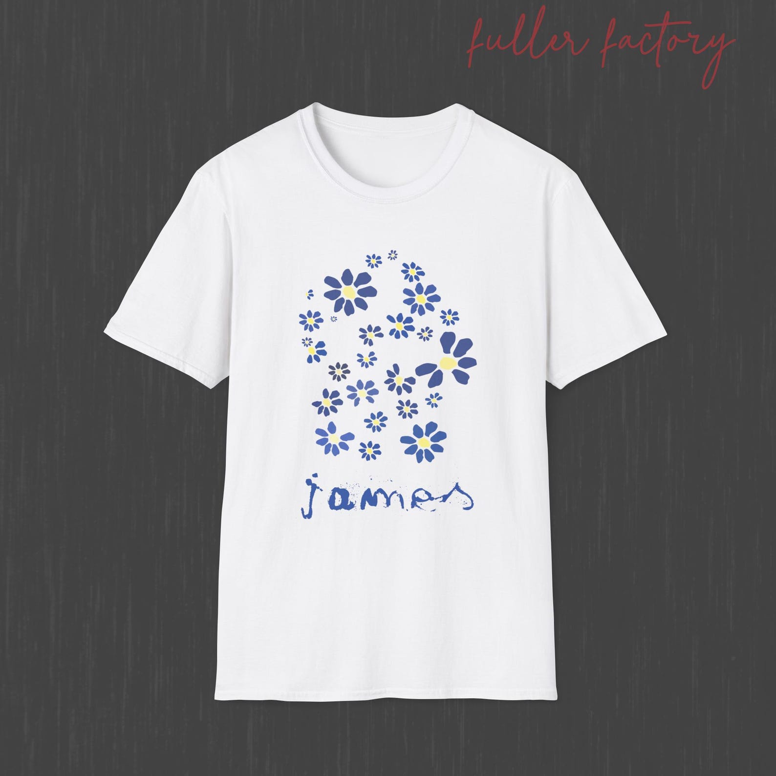 James Laid T-Shirt, James Band T-Shirt, James Daisy shirt, Tim Booth S