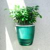 Self Watering Wall Mounted Flower Pot Double-Layer Root-Rotproof Plant Pot with Transparent Water Level for Indoor Plants Balcony Office Decor
