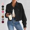 2024 Autumn and Winter Cross-border Amazon Europe, America, Temperament Slim-fitting Short Zipper Cardigan Polo Neck Corduroy Jacket