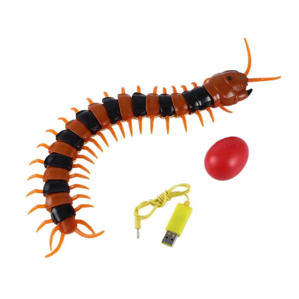 centipede cat toy