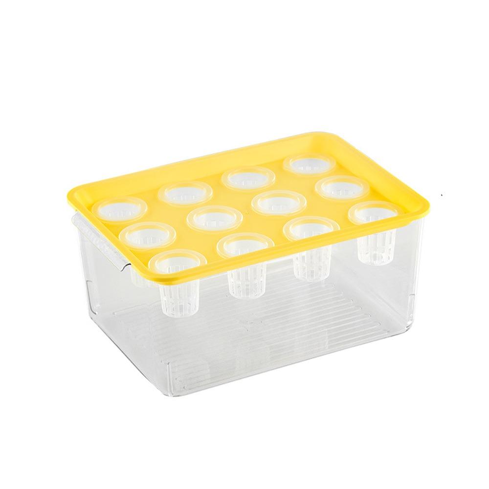 

Прозрачный гидропонный аквариум для выращивания, система посадочного ящика для беспочвенного выращивания, комнатное садоводство жёлтый