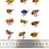 12 Stuks Natuurlijke Insecten Vliegen Vissen Kunstaas Set Met Droge Vliegbinden Geslepen Haak Nep Kunstmatig Aas Voor Karper Forel Topwater