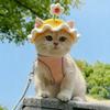 Spring Floral Knitted Pet Hat - Cute 3D Wool Headdress for Dogs