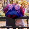 Dynamic Duo City Adventure Folding Umbrella Suitable For All Seasons Umbrella Umbrella Umbrella Gift