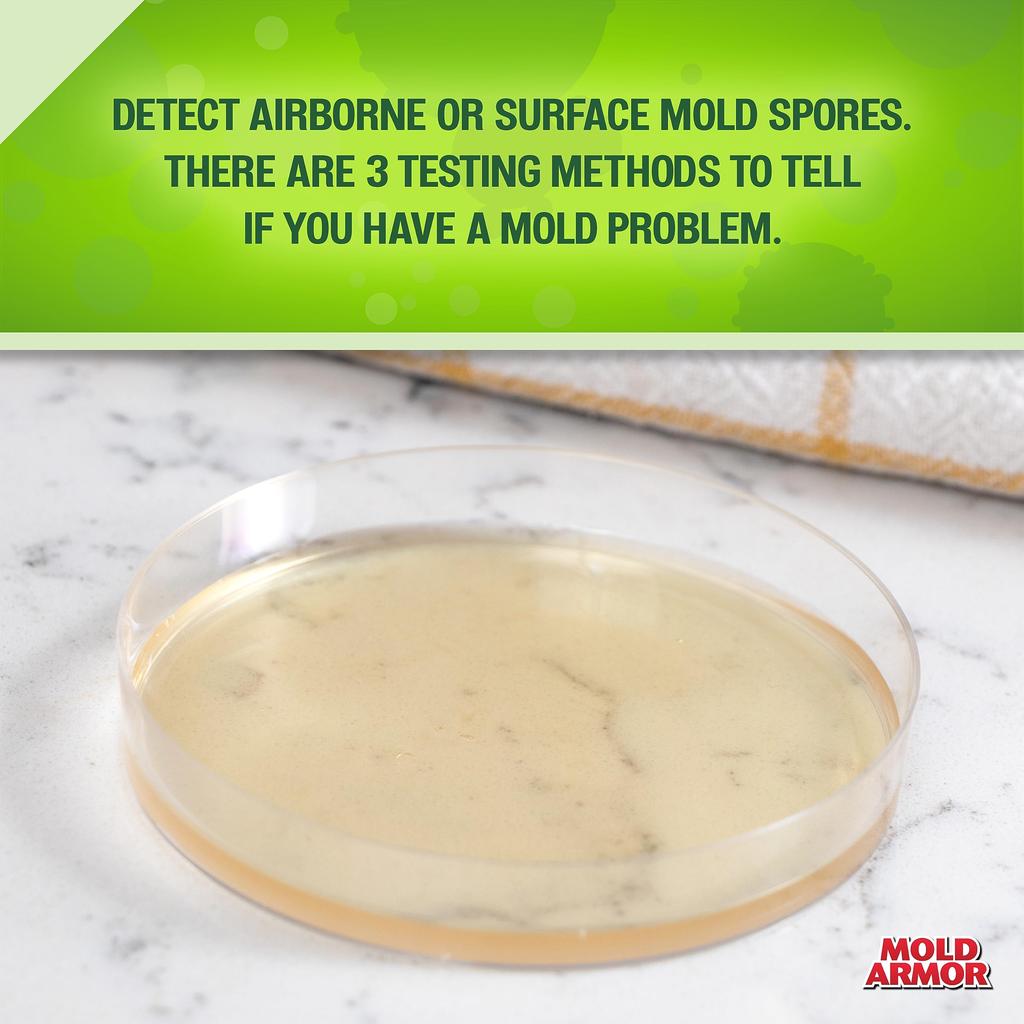Mold Armor FG500 Mold Test Kit FG500 Do-it-yourself