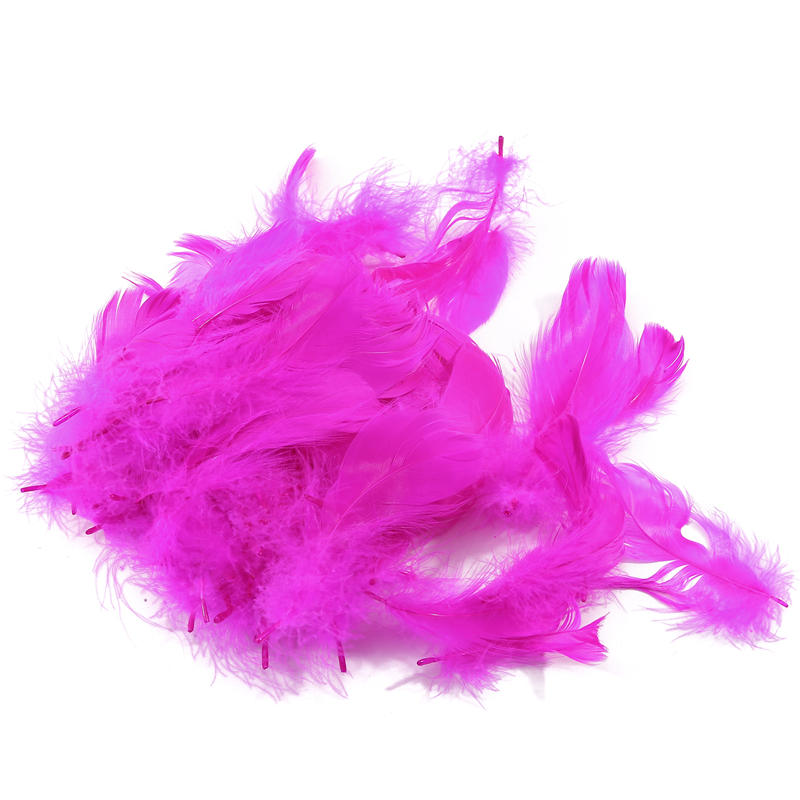 Dekoration Lose Federn Natürliche Gänsefeder Bunte Ornamente DIY Zuhause Heimdekor
