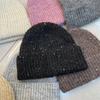 Simple Wool-blend Knitted Wool Hat Women's Fashionable Silver Sequined Ear Protectors Warm Cold Hat