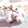 10 Heads Wedding Decoration Home Decor Floral Branch Artificial Plants Dried Cotton Flower Cotton Stem