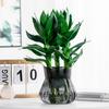 Self-watering Flowerpot with Self-absorbing Cotton Rope Creative Plastic Plant Pot Indoor