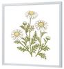 Larson Jules Nippon Picture Frame D771 Square 30cm Square (Inner Size 300x300mm) White