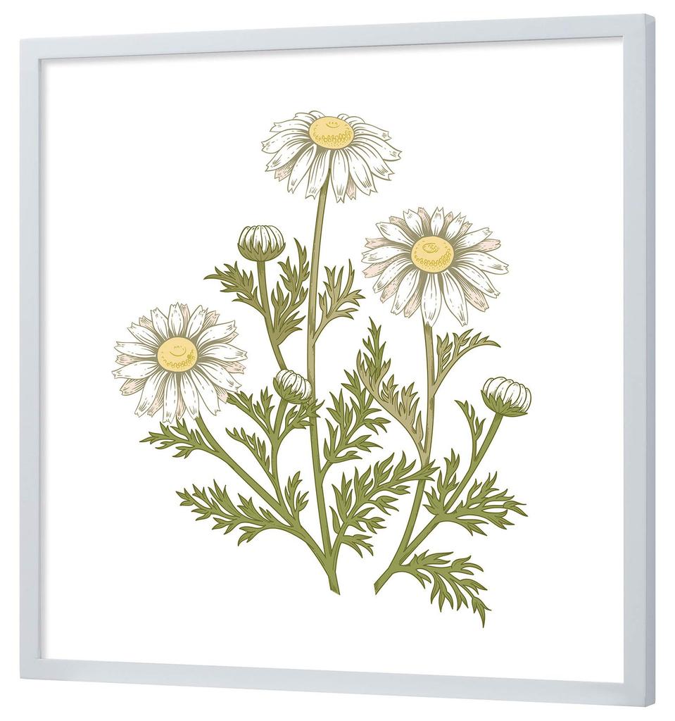 Larson Jules Nippon Picture Frame D771 Square 30cm Square (Inner Size 300x300mm) White