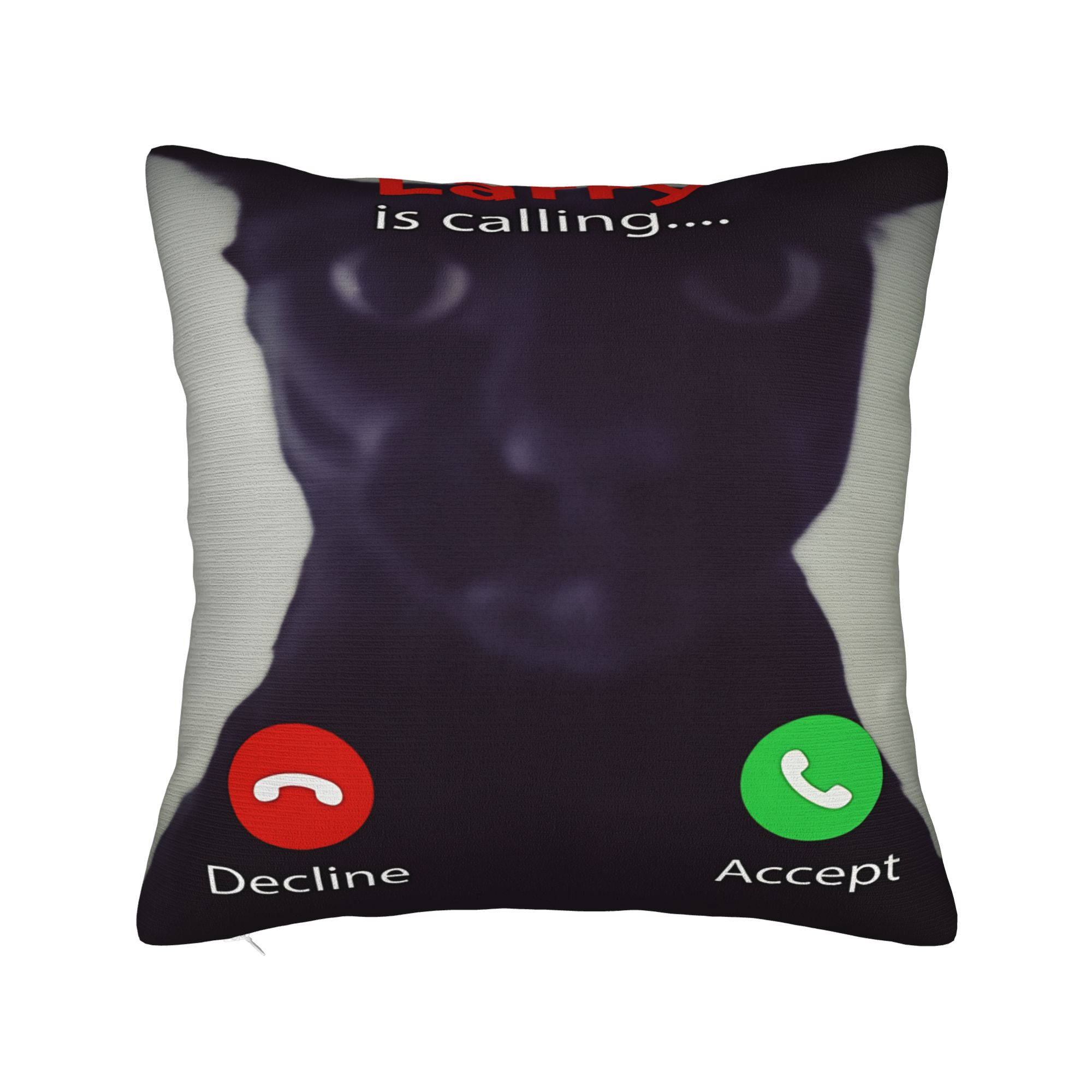 Evil Larry Cat Dank Brainrot Meme Pillowcases Morden Pillow Case For Sofa Car Home Decor Comfy Pillow Cover Peach skin 18*18(CM)-1Pcs