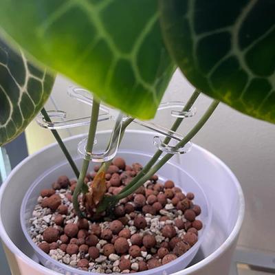 Haljastus ja disain – Rakenduse Plant tugi