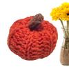 Funny Pumpkin Crochet Decorations Decorative Tiny Pumpkin 2025 Rustic Farmhouse Pumpkins Reusable Decorative Tiny Pumpkin Small