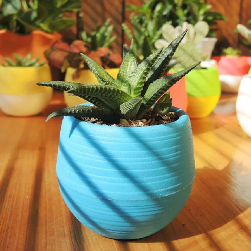 2 Layer Drain Hole Succulent Pot Mini Flower Pot Desk Green Plant Flowerpot Nursery Pots Home Garden Decoration Planters
