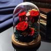 TEATSIGHT Preserved Flower Arrangement, Pre-Wrapped, Glass Pot, 5 Flowers (Red Roses)