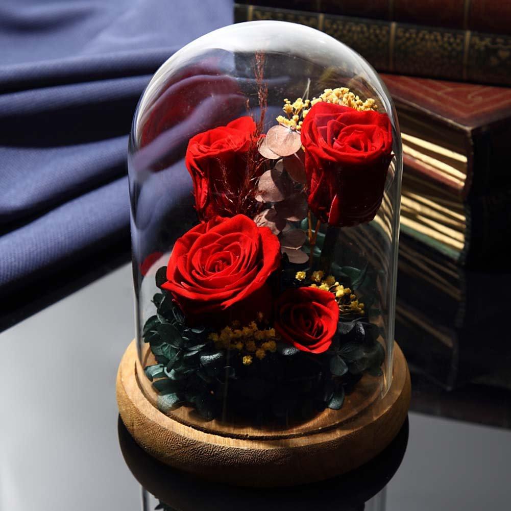 TEATSIGHT Preserved Flower Arrangement, Pre-Wrapped, Glass Pot, 5 Flowers (Red Roses)