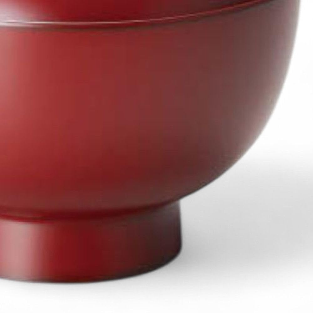 Lacquerware Dishwasher Made in Japan J-kitchens Bowl, Hand-Painted, Safe, PID-527155,