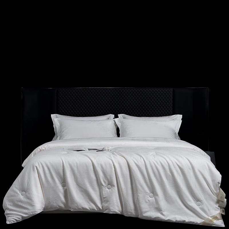 

Fang En Yue Xi Pure Mulberry Silk Duvet
