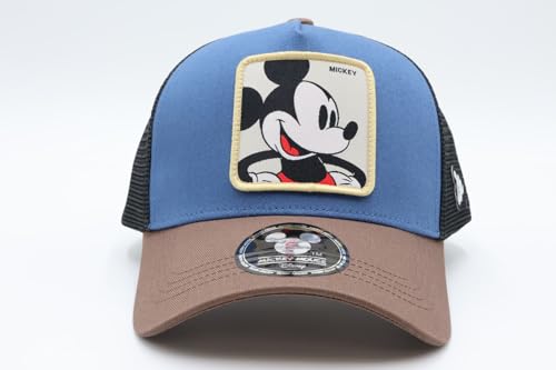 Disney Patch Mesh Cap DMK-MCP03 BLUE×BROWN