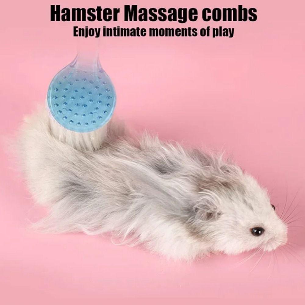 Long Hair Hedgehog Bathing Brush Round Head Guinea Pig Massage Combs Small Hamster Brush Grooming