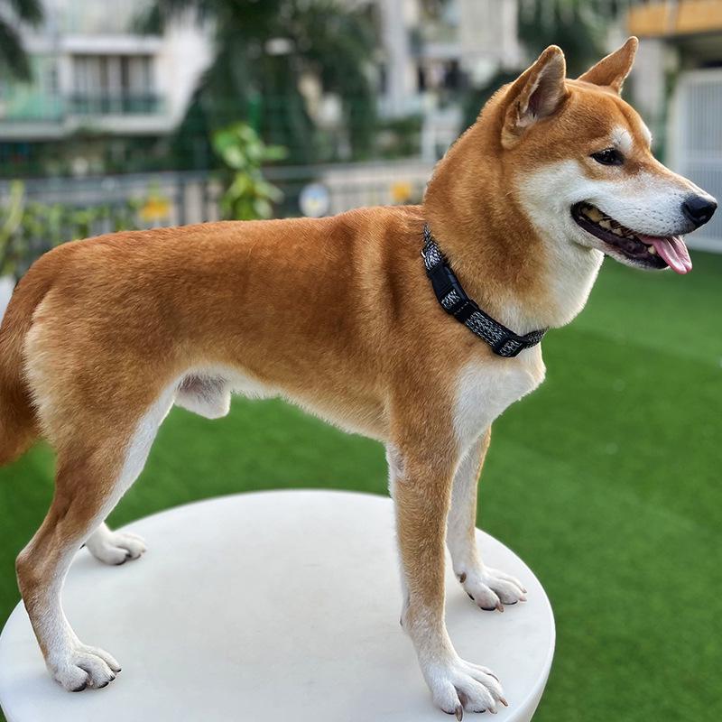 

Регульований нашийник для собаки та грілка для шиї для середніх та великих порід - Ідеально підходить для коргі, золотистих ретриверів, лабрадорів та інших. Включає мотузку-повідець. XS (2-8 lbs) Лляний/чорний