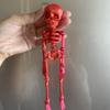 Movable Skull Refrigerator Magnet 3D Printed Joints Movable Halloween Toy Horror Luminous Skull Ornaments Refrigerator Magnet