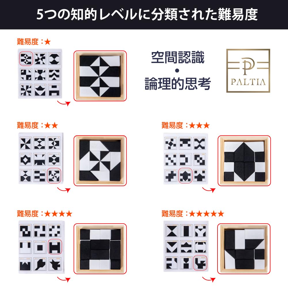 PALTIA Paměť Vzdělávací Mozek Myšlení Sada Dárků pro Děti a Seniory Hračky, Hra, Puzzle, Hračky, Trénink, Dovednosti, 2, [Produkt]