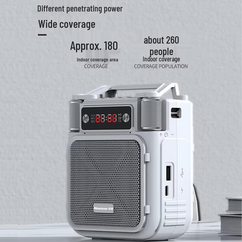 Newmine MS19 Portable Wireless Voice Amplifier CN plug (adapter included)