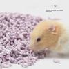 Deodorizing, Absorbent Cotton Paper Pellets for Hamster Bedding - Breathable and Warm
