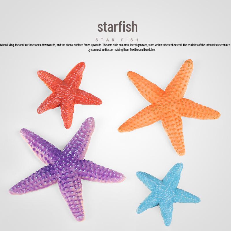 Starfish Model: Educational Sea Creature Toy & Fish Tank Decoration