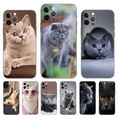 Britische Kurzhaarkatze bemalte Handyhülle für iPhone 5 2020se 6 6s 7 8 plus x 10 XR XS 11 12 13 mini pro MAX schwarze TPU-Rückseite