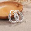 Exaggerated 925 Silver Hollow Earrings & Ear Jewelry - Europe & America