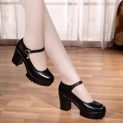 British Thick High Heels Mary Jane Shoes Round Head Leather Shoes Platform Sole Shallow Mouth Single Shoes 2025 New Retro High Heels Women
