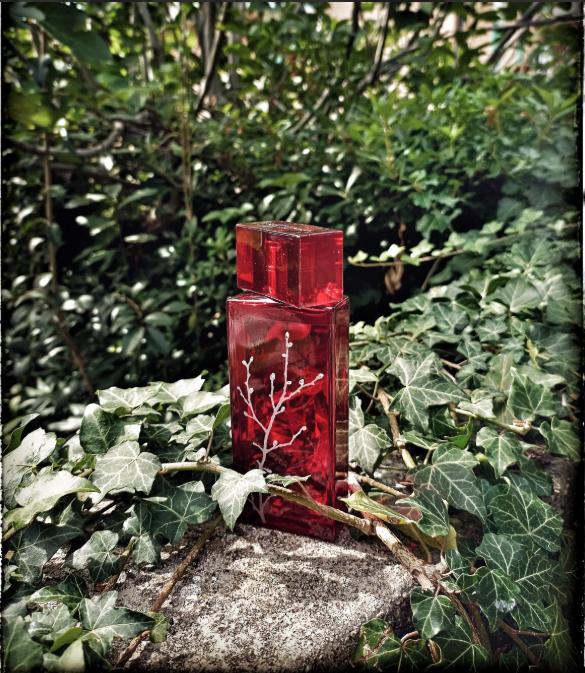 Armand basi In Red Eau De Perfume Spray 100ml