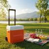 Wheeled Cooler Box PU Foam Insulation Portable Cold Storage Large Capacity