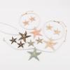 European and American summer vacation style enamel starfish earrings ZA temperament beach wind starfish pendant necklace female