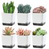 5Pcs Plant Pots, Self Watering Flower Pots Indoor Outdoor, Self Watering Planters with Drainage Hole & Clear Saucer Reservoir