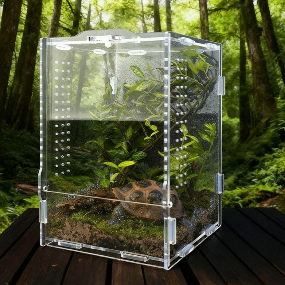 Escape Proof Jumping Spider Enclosure Acrylic Reptile Habitat New Spider House  Small Pet Supplies