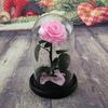 Eternal Flower Glass Cover Little Prince Rose Valentine's Day Gift Premium Finished Gift Box