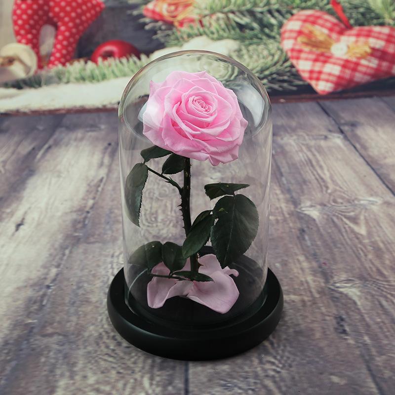 Eternal Flower Glass Cover Little Prince Rose Valentine's Day Gift Premium Finished Gift Box