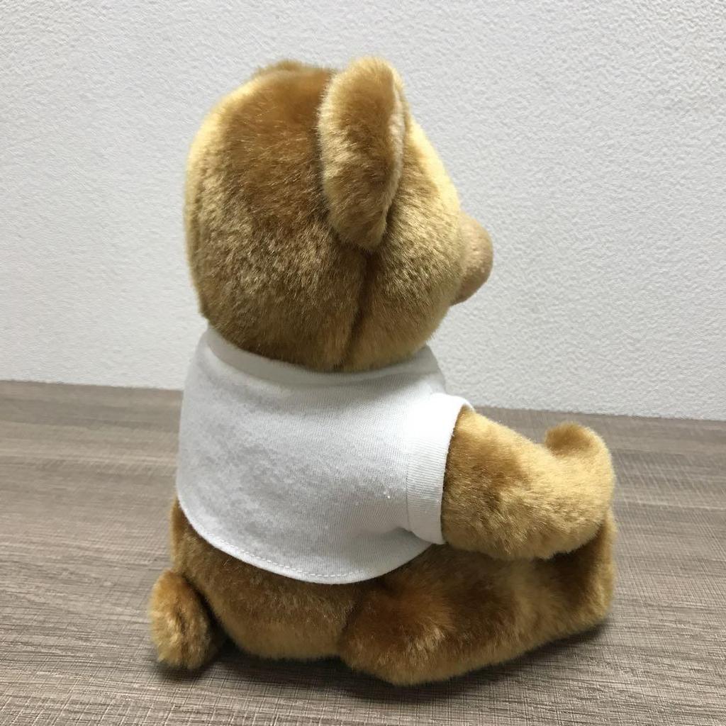 [USED] Tagged Hard Rock Cafe Teddy Bear Plush Toy