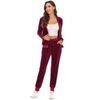 Velvet Velour Tracksuit Set Women Soft Stretch Lounge Zip Up Hoody and Jogger Pants Relaxed Sports Outfit
