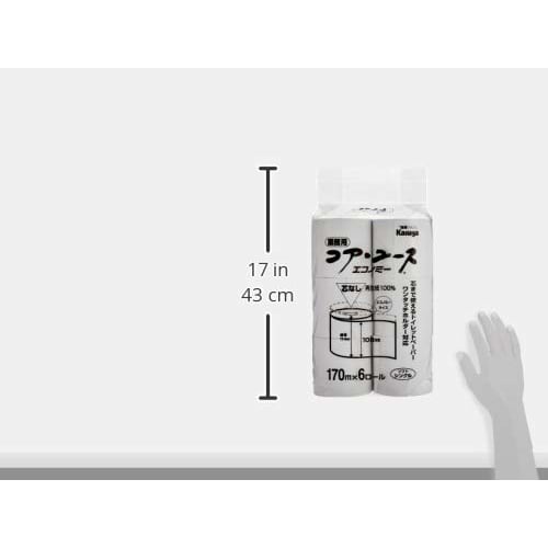 Kasuga Paper Toilet Paper, Core Use 170, Single (48 Rolls)