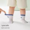 Beitaisi Children's Summer Mesh Crew Socks
