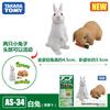 Tomica Cars Toys For Boys Holiday Gifts TOMY Domeka Anlia Animal Mini Simulation Movable Model Tiger Lion Cheetah Boy Toy